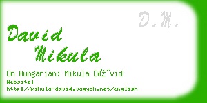 david mikula business card